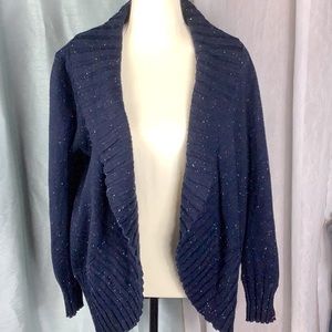 Talbots Navy Cardigan with some flecks of color. Size Large